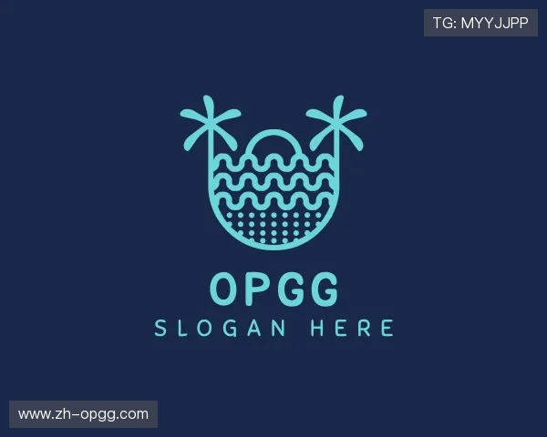 解读opgg公司